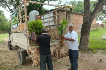 मायोदबी साझेदारी द्धारा साढे ११ हजार फलफुलको बिरुवा बितरण