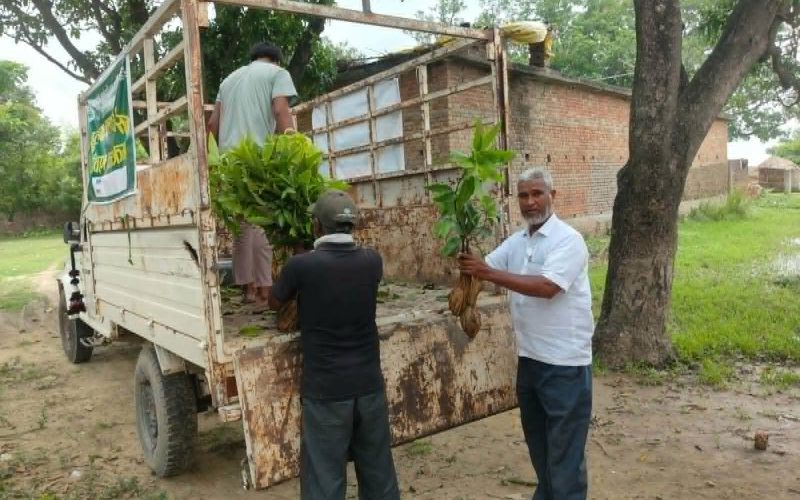 मायोदबी साझेदारी द्धारा साढे ११ हजार फलफुलको बिरुवा बितरण