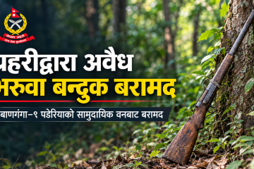 कपिलवस्तुको सामुदायिक वनमा बेवारिसे अवस्थामा भरुवा बन्दुक बरामद